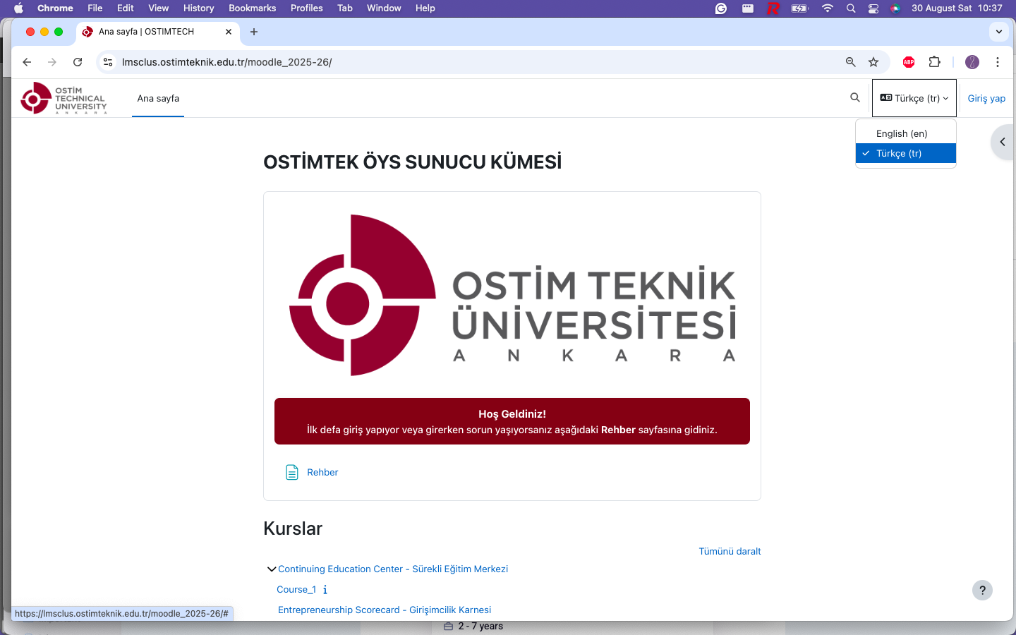 Dil seçimi