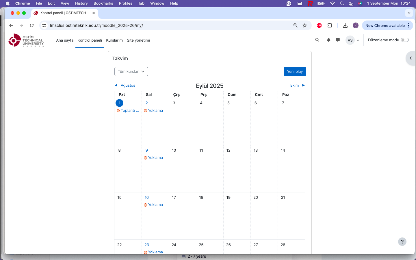 Takvim görünümü (TR)